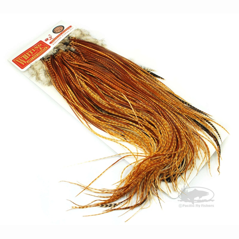 Whiting Dry Fly Saddle Hackle|Brown|Barred Dark Ginger|Natural Dun