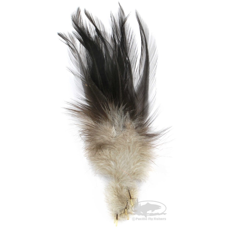 Gallo de Leon Saddle Feathers|Ginger Specled|Black|Brown|Dun