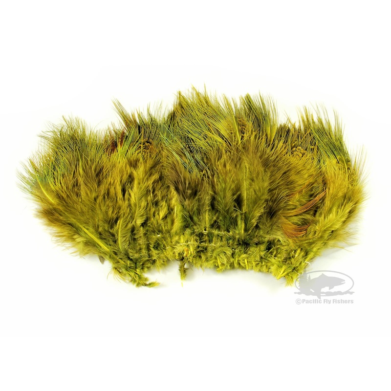 Ringneck Pheasant Rump Feathers