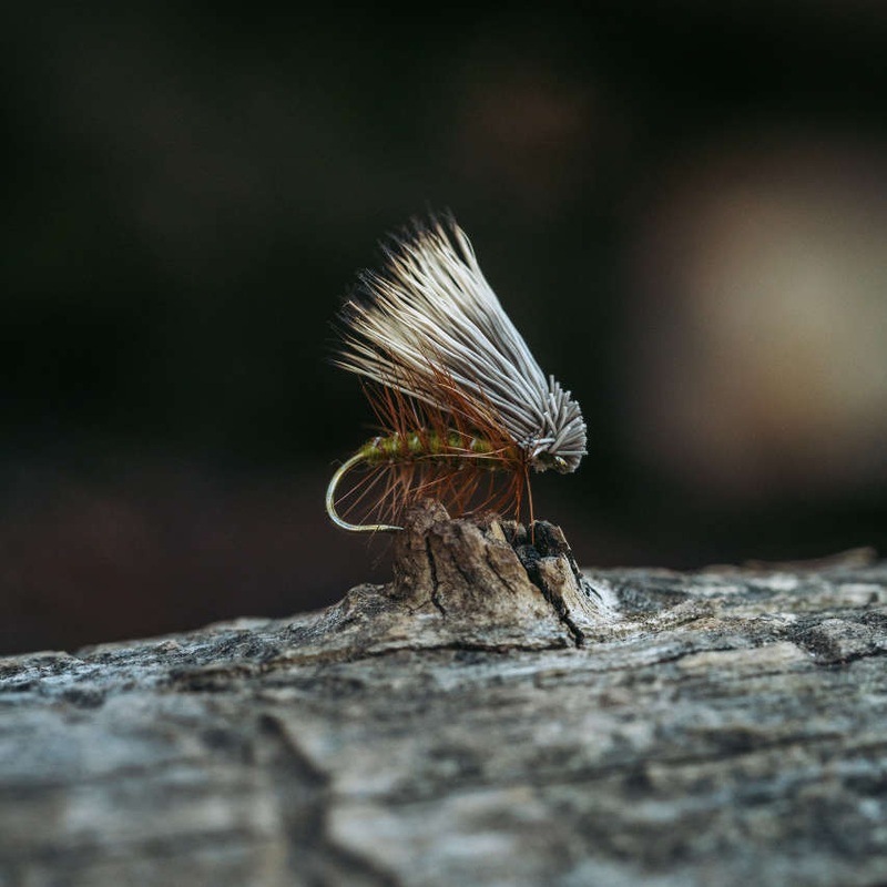 Tiemco TMC 100 Hooks|8|10|12|14|16|18|20|22|24