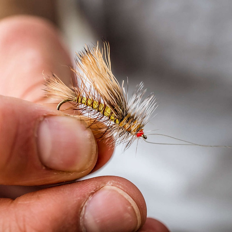 Tiemco TMC 200R Hooks|4|6|8|10|12|14|16|18|20