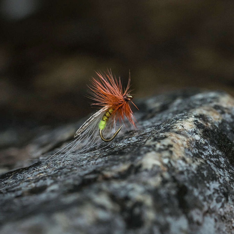 Tiemco TMC 2487 Hooks|10|12|14|16|18|20|22