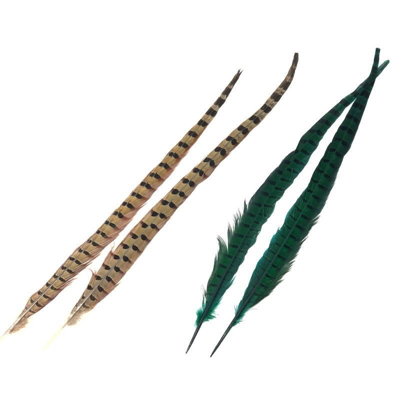 Ringneck Pheasant Tail Feathers