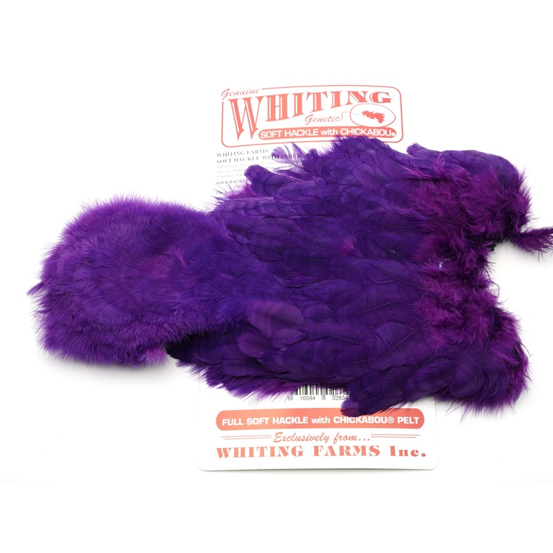 Whiting Brahma Soft Hackle with Chickabou