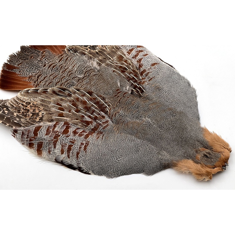 Perdix Premium Grade AA Hungarian Partridge Skin Natural