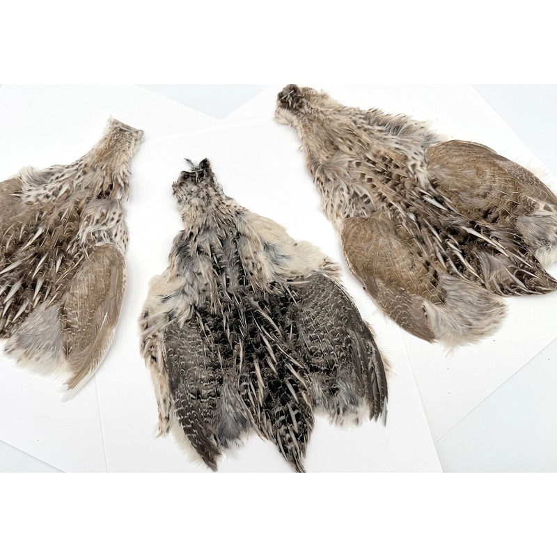 Moonlit Quail Feathers Patches (full skin)
