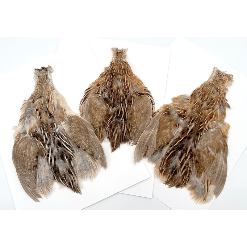 Moonlit Quail Feathers Patches (full skin)