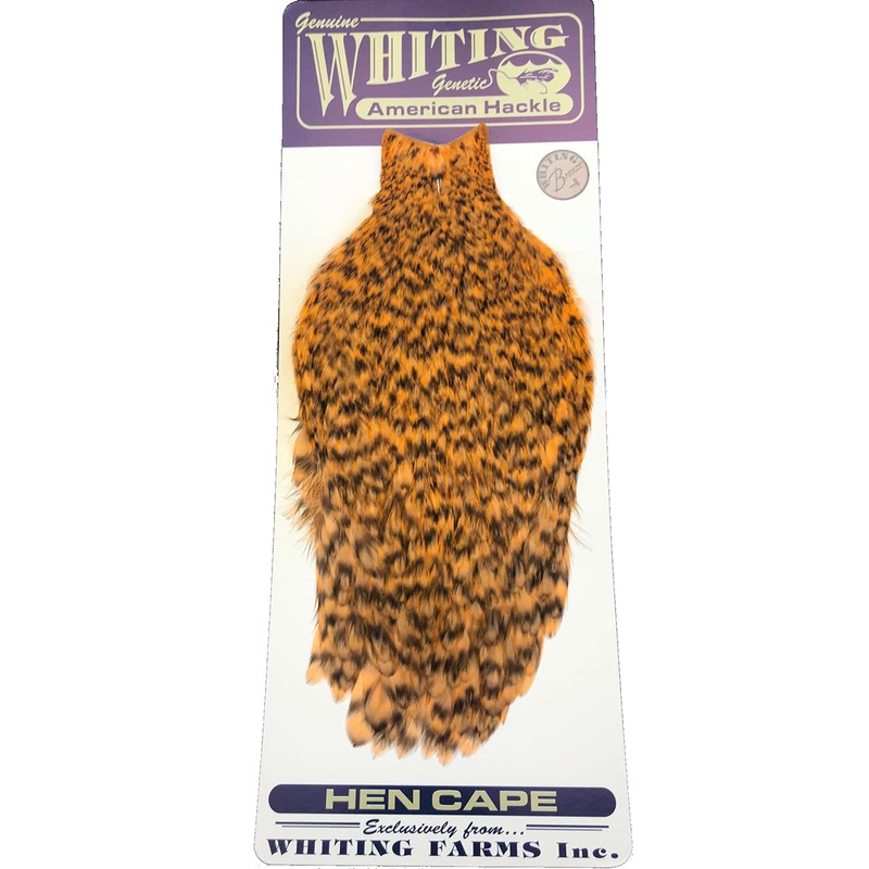 American Hen Cape|grizzly|grizzly dyed shrimp orange|white dyed chartreuse|white dyed orange|white dyed yellow