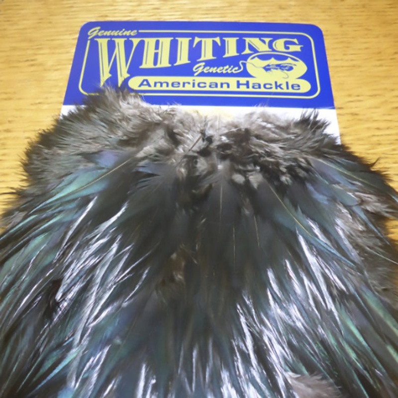 American Rooster Saddle|black|furnace|grizzly dyed chartreuse|grizzly|grizzly dyed yellow|natural medium dun|white dyed chartreuse|white|white dyed olive|white dyed red|white dyed yellow