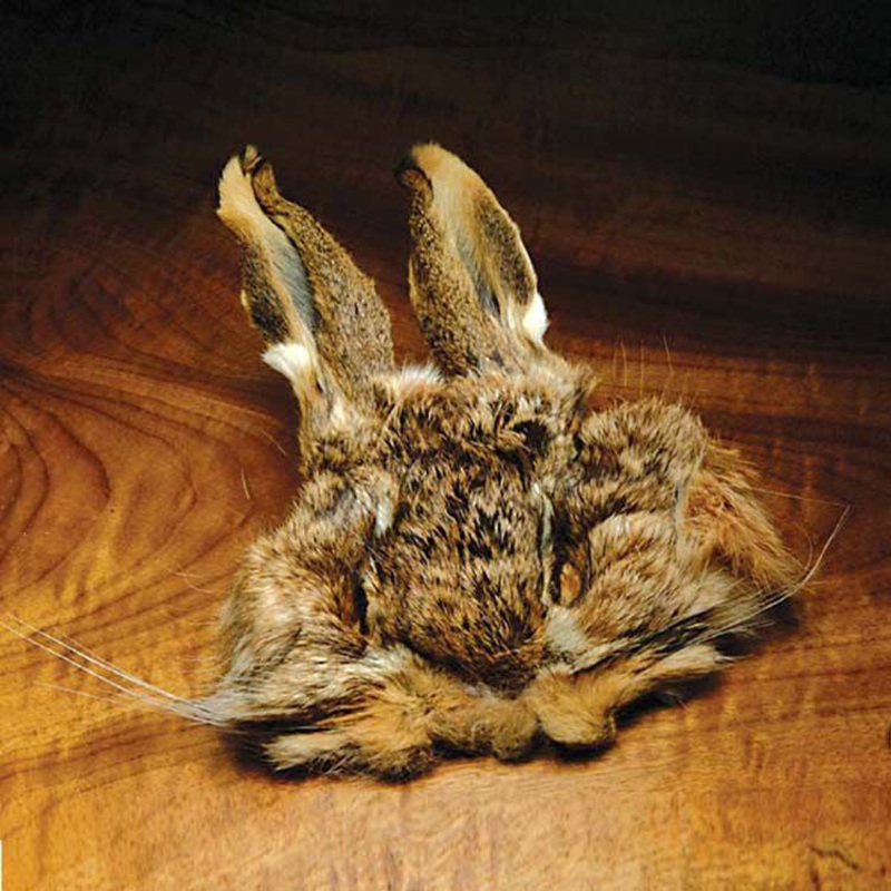 Natural Hare’s Mask||1||2
