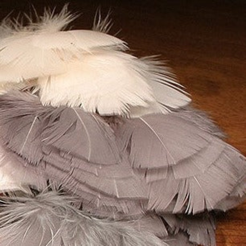 Premo Turkey Flats|cream|dark dun|light dun|medium dun|white