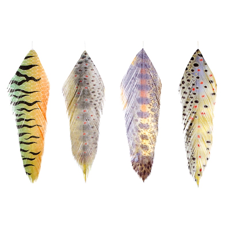 Galloup’s Fish Feathers|Buttery Brown|Fire Tiger|Juvy Rainbow|Mossy Brown