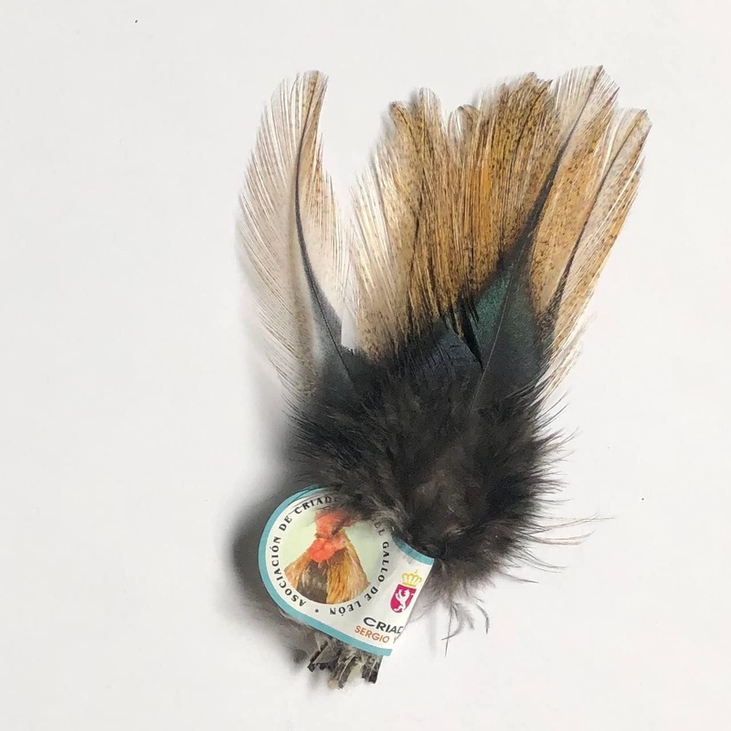Coq de Leon|barred speckled (aconchado)|light dun|medium (medio)|light speckled (pardo)|ginger speckled (flor de escoba)|dun|dark (oscuro)|brown|black