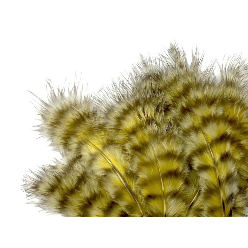 Chevron Hackle – Chickabou Pelt