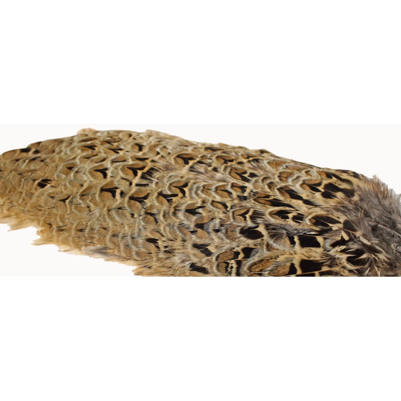 Chevron Hackle – Hen Pheasant Rump Patch