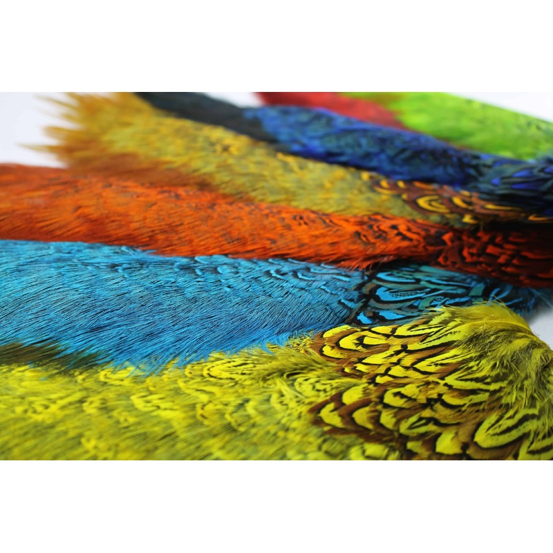 Chevron Hackle – Pheasant Rump Patch