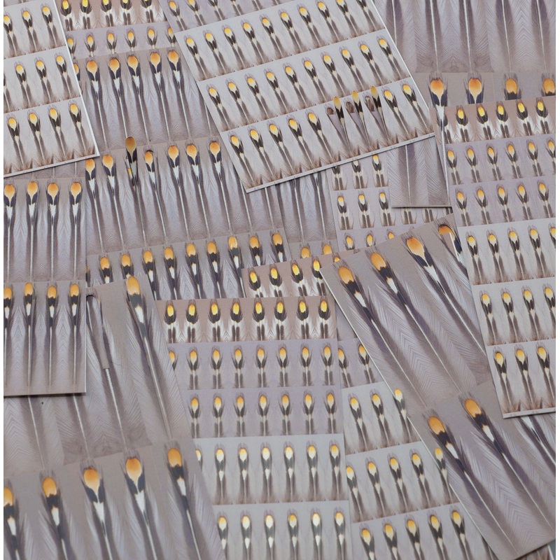 Un-Real Jungle Cock|XSmall|Small|Medium|Large