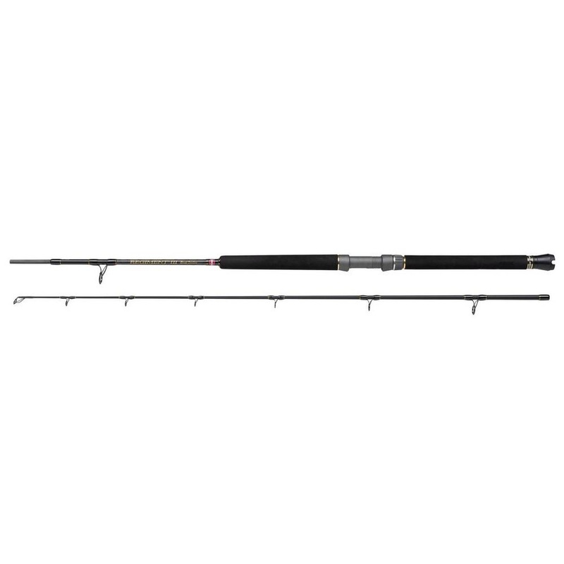 Penn Regiment III Boat Rod 2pc