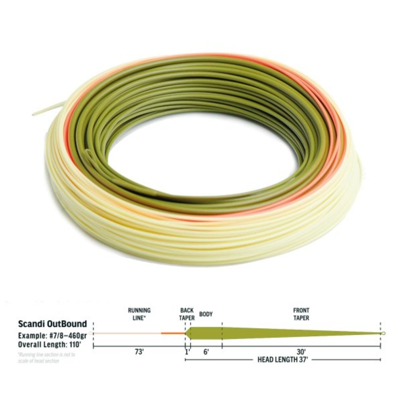 Rio Elite Scandi Outbound Hover Fly Line