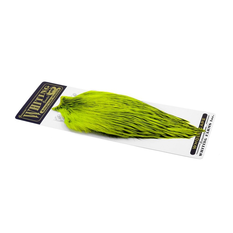 Whiting American Rooster Cape BLW