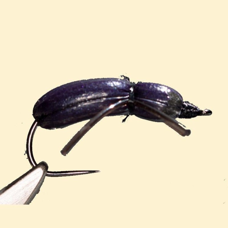 Good Doctor’s Beetle – Foam Over Foam – 3 pack