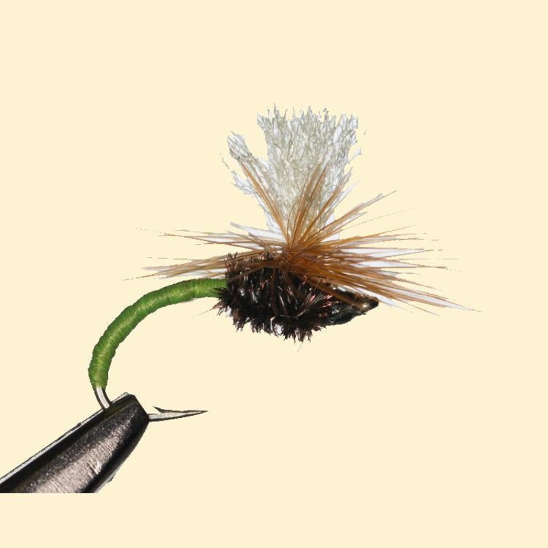 Klinkhamer – 3 pack||14||16|Black|Olive