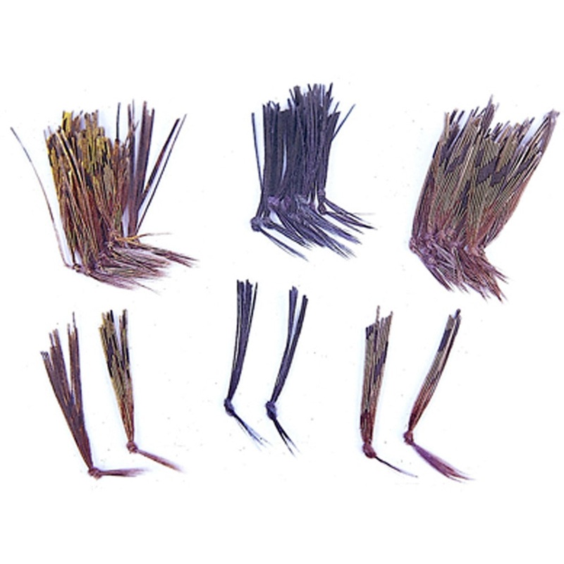 Rainy’s Knotted Hopper Legs|Black|Brown|Yellow