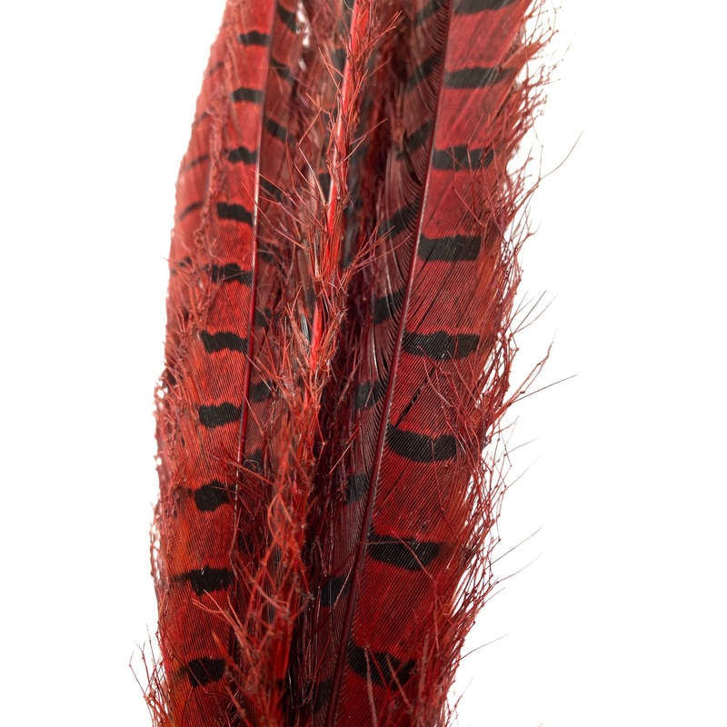 Hopper legs|Melanistic Black|Red|Orange