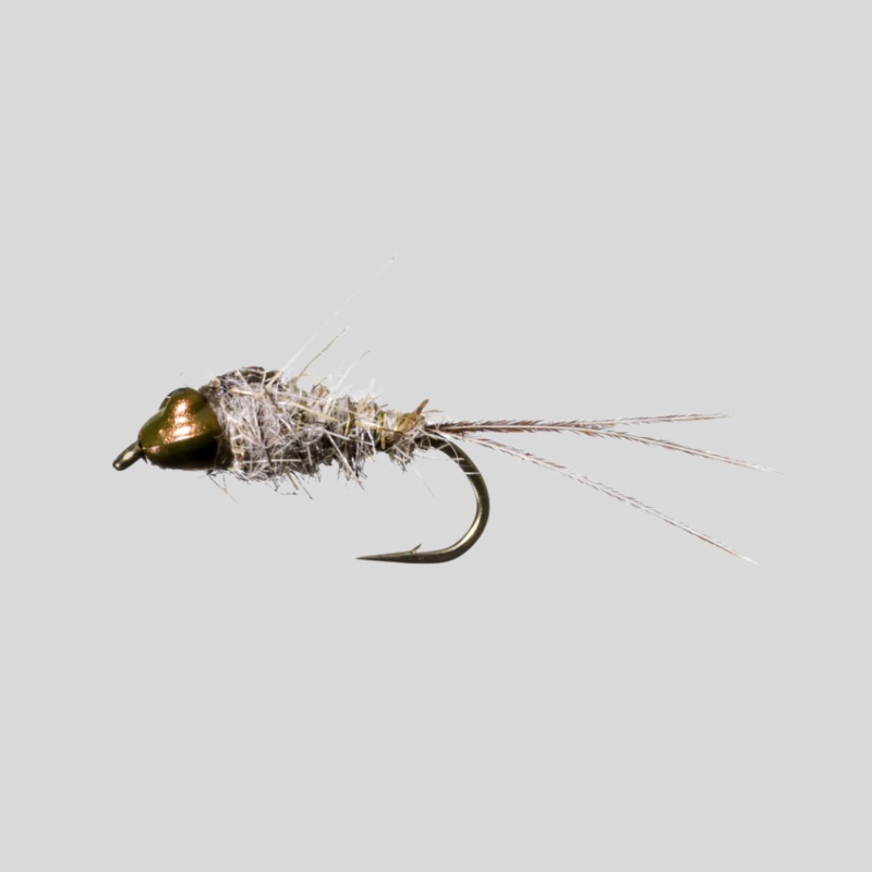 Nymph-Head Evolution Mayfly Clinger