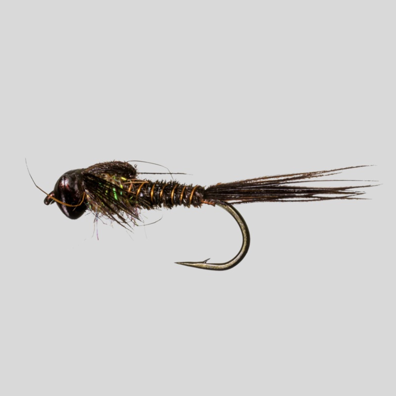 Nymph-Head Evolution Mayfly Pheasant Tail