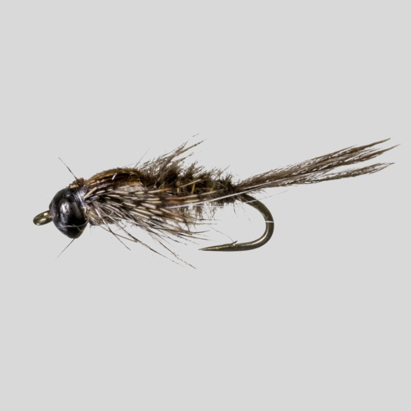 Nymph-Head Evolution Mayfly Swimmer