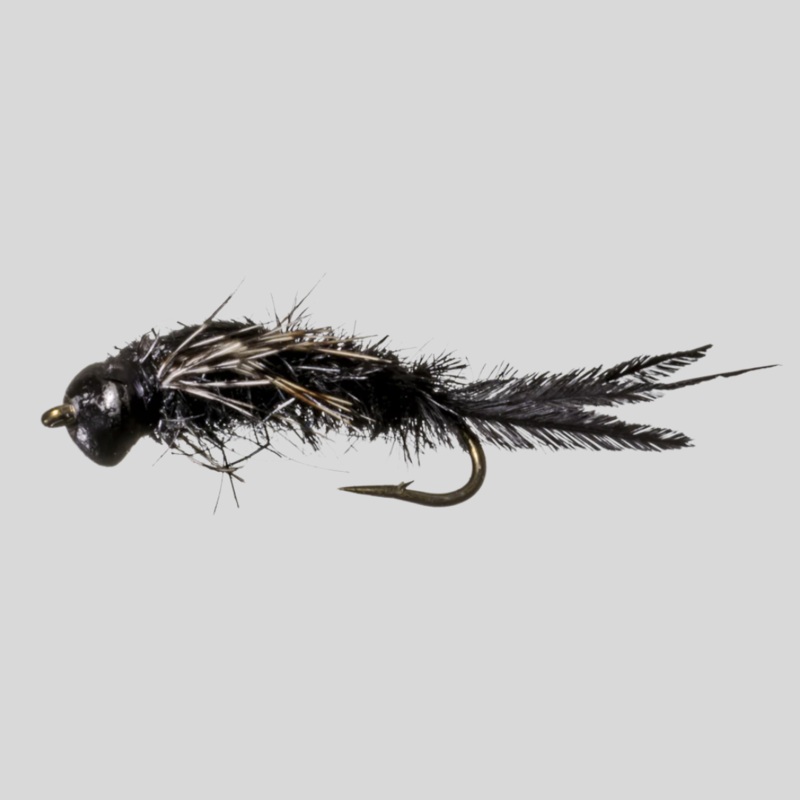 Nymph-Head Evolution Mayfly Swimmer