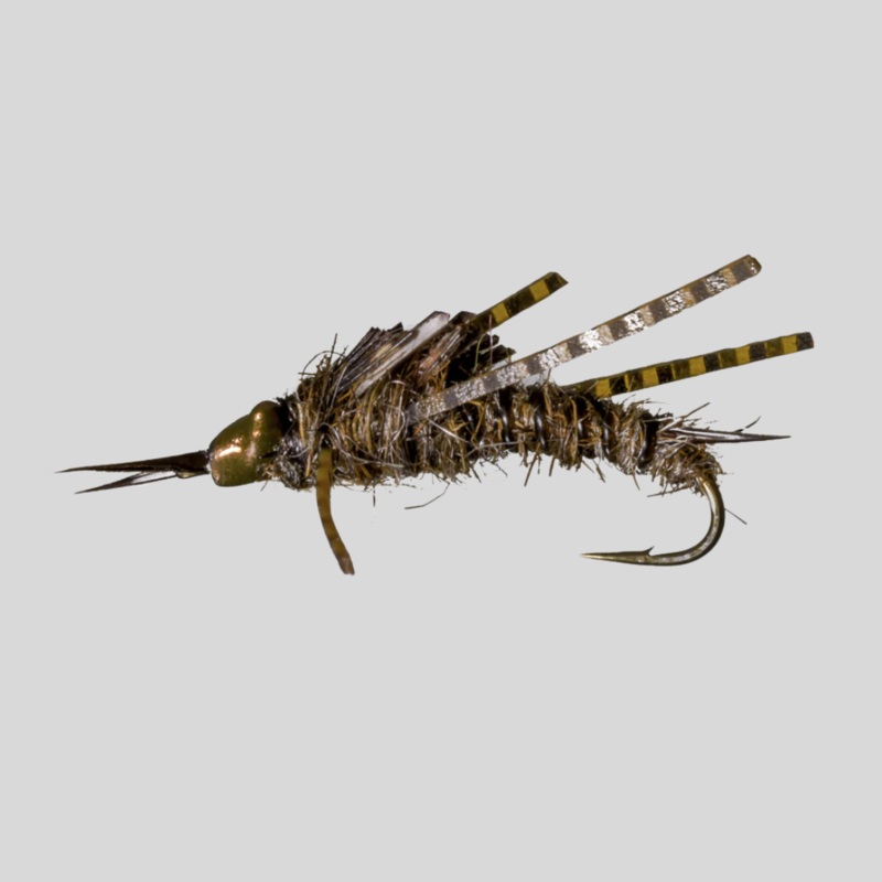 Nymph-Head Evolution Stonefly