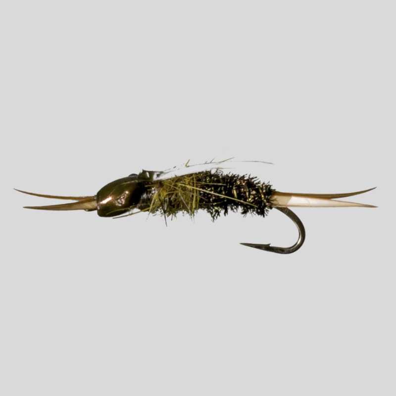 Nymph-Head Evolution Stonefly Prince
