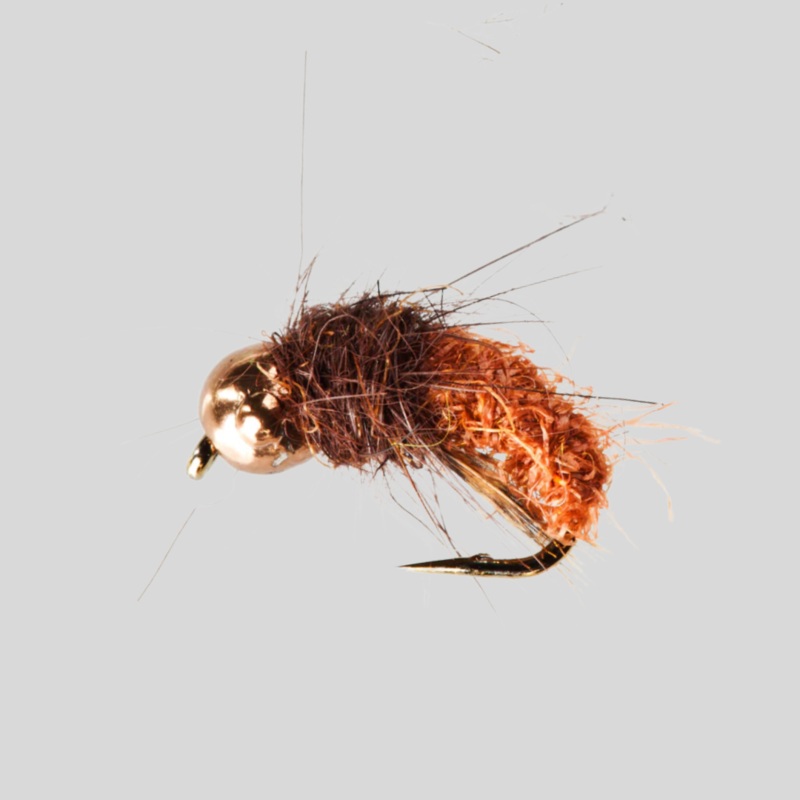 Nymph-Head Heavy Metal Caddis Larva