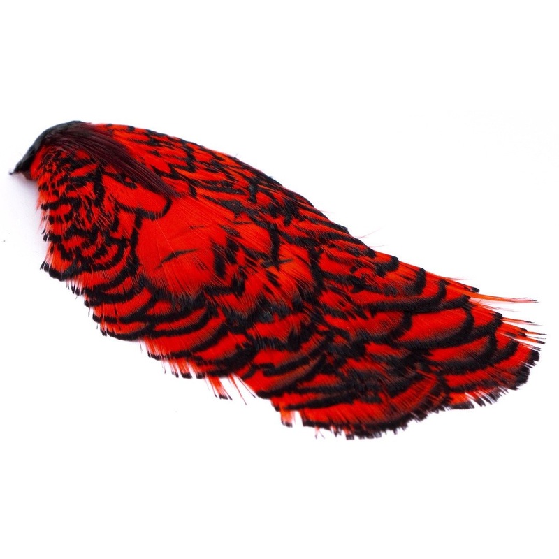 Lady Amherst Heads Dyed|Kingfisher Blue|Red|Chartreuse|Hot Orange|Hot Pink|Yellow|Purple