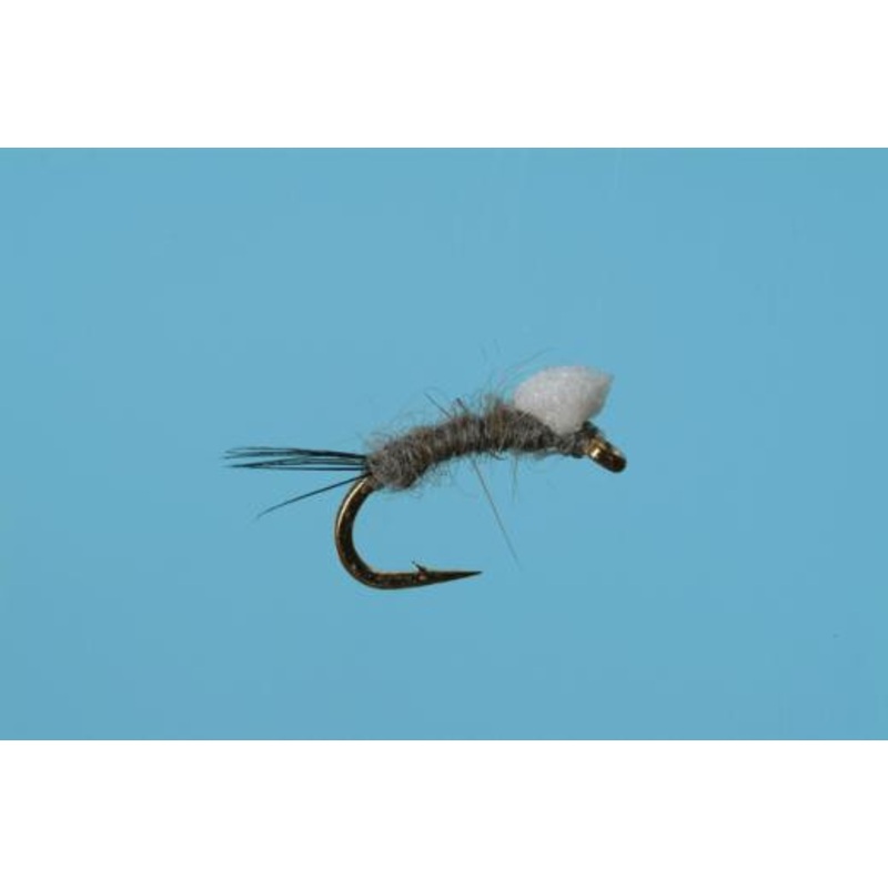 Foam Wing RS2|Chocolate|Gray|18|20
