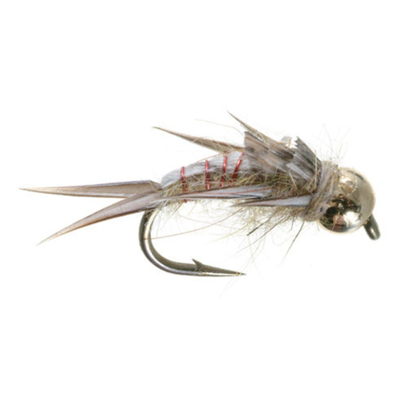 Tim Wade’s North Fork Special|Black|Tan|14|12|10|16