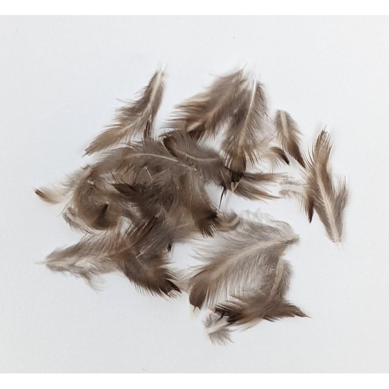 Nature’s Spirit Select Starling Feathers – 48 count