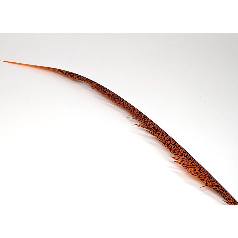 Nature’s Sprit Golden Pheasant Center Tail Feather