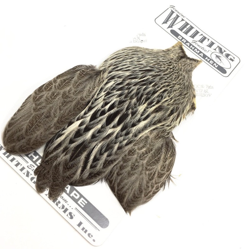 Whiting Brahma Hen Cape|Golden Brown|Badger dyed Golden Straw|Badger dyed Tan|Cream Badger|Badger dyed Olive|Badger dyed Golden Olive|Badger dyed Purple|Badger dyed Pale Yellow|Badger dyed Natural Brown|Badger Medium Dun|Badger Dyed March Brown|Badger Dye