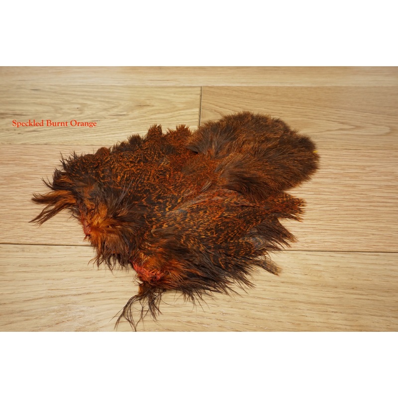 Whiting Coq de Leon Soft Hackle with Chickabou