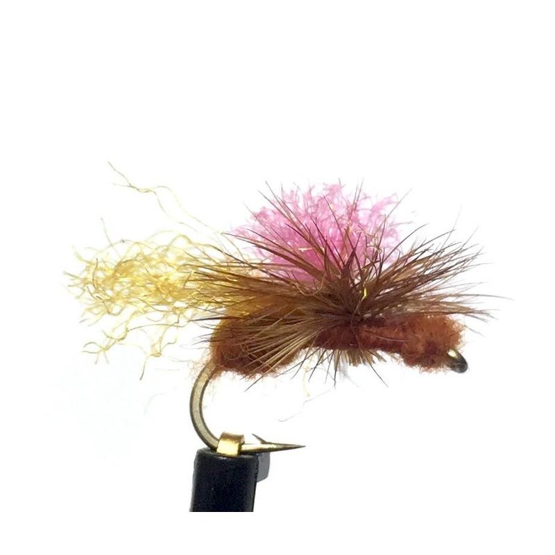 Bloom’s Parachute Ant|Black|Cinnamon|Rust|12|14|16|18