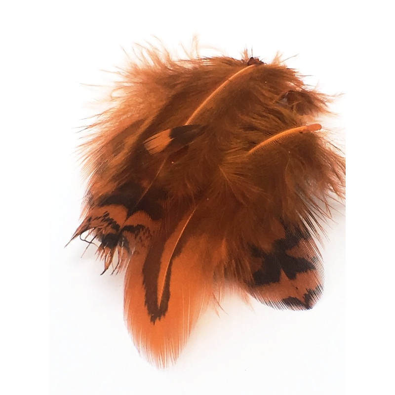 Nature’s Spirit Premium Sharptail Grouse