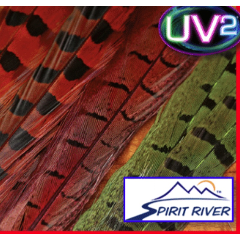 UV2 Ringneck Pheasant Tail|Black |001|Nat |012|Olive |030|Green |040|Yellow |075|Orange |090|Kingfisher Blue |096