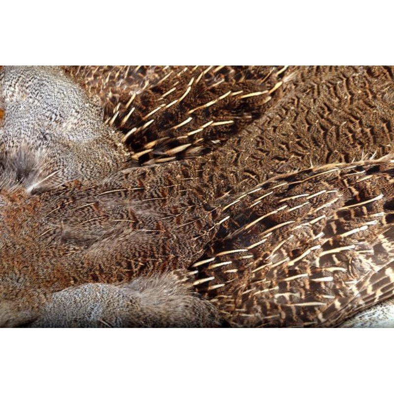 Hareline #1 Hungarian Partridge Skin