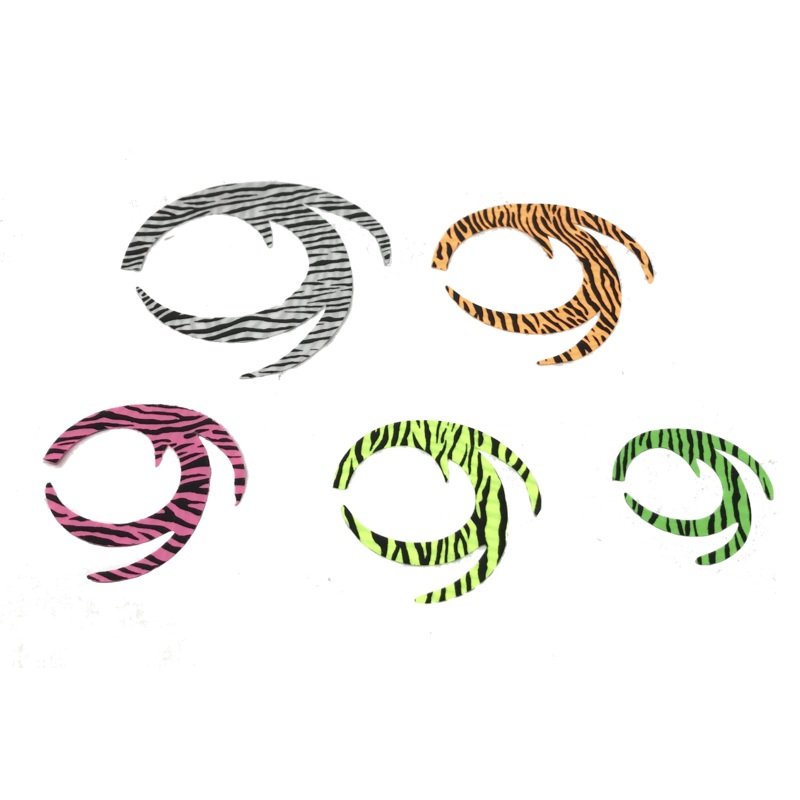 Barred Pacchiarini’s Dragon Tails