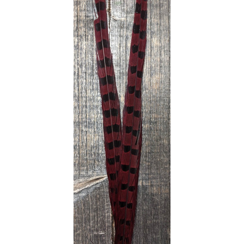 Nature’s Sprit Ringneck Pheasant Center Tails