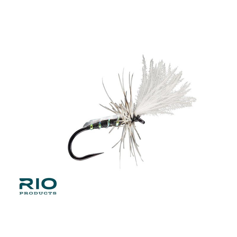 Rio Slick Midge Adult|Black|Olive|16|18|20