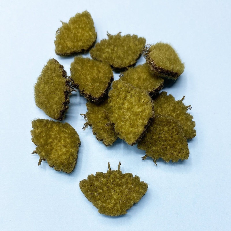 EP Permit Crab Bodies – Closeout